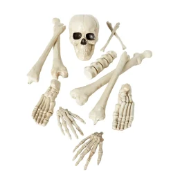 Bag of Bones