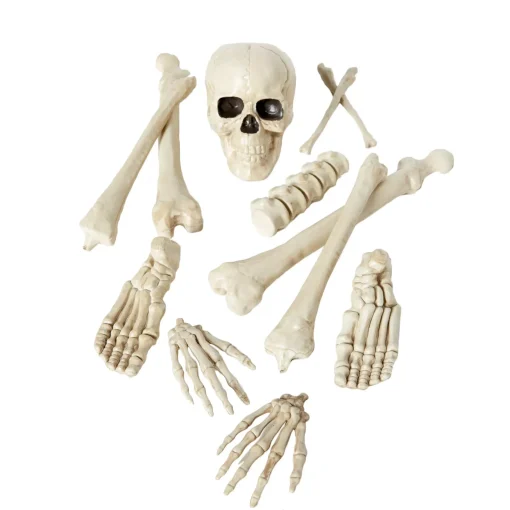 Bag of Bones