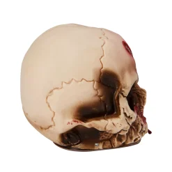 Bloody Skull