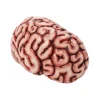 Brain Prop