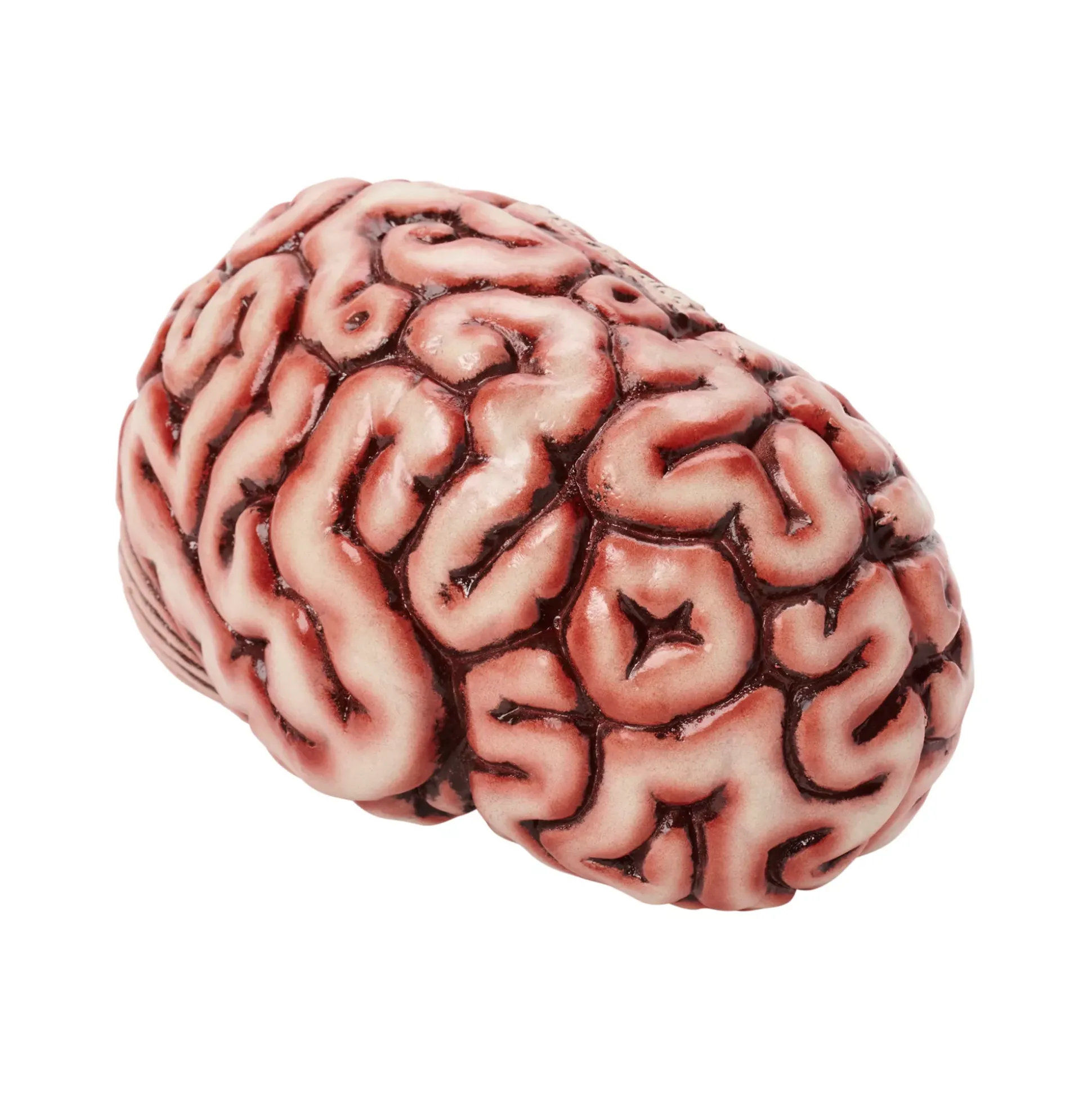 Brain Prop