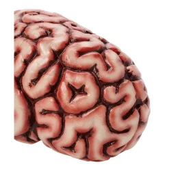 Brain Prop