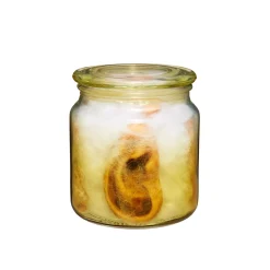 Gothic Noir Ear Jar