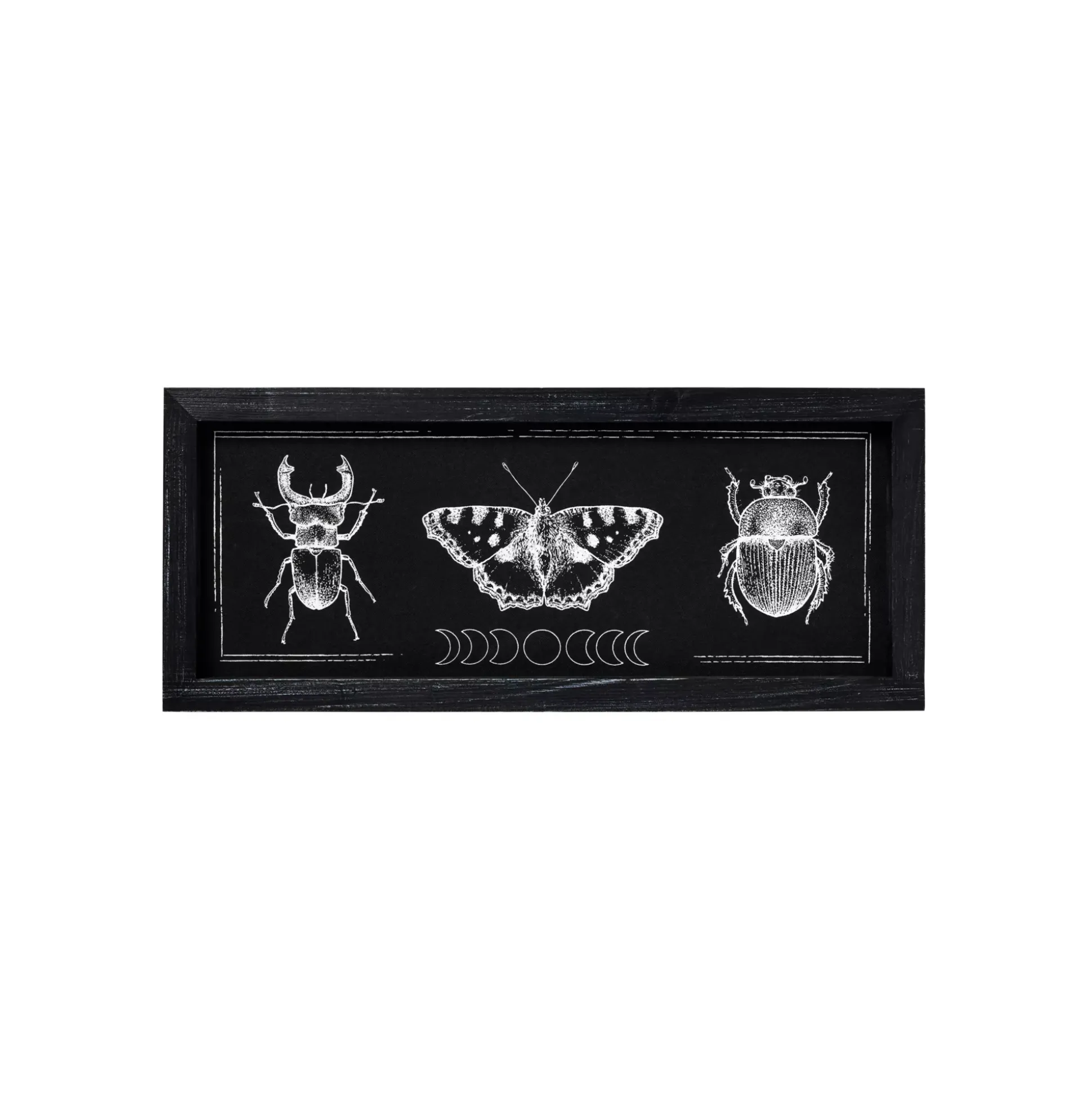 Insect Moon Phase Sign