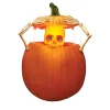 Light-Up Pumpkin Peeper Kit