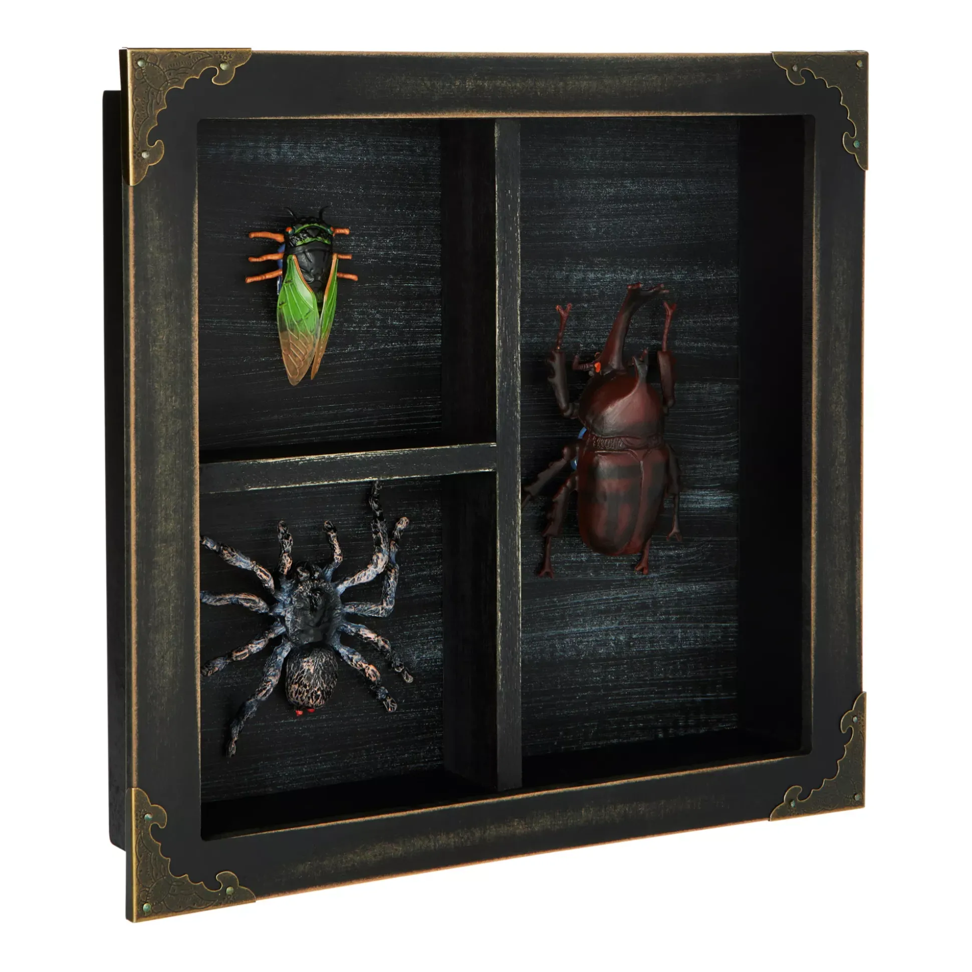 Mystical Arts Insect Sign