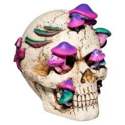 Mystical Arts Mushroom Skull