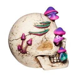Mystical Arts Mushroom Skull