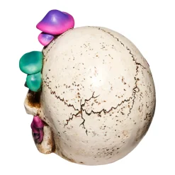 Mystical Arts Mushroom Skull