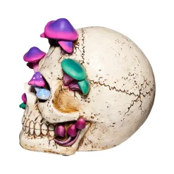 Mystical Arts Mushroom Skull
