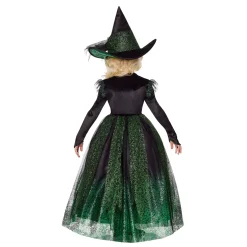 Toddler Green Witch Costume