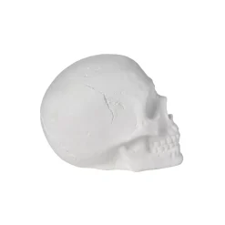 White Skull Tabletop Decoration